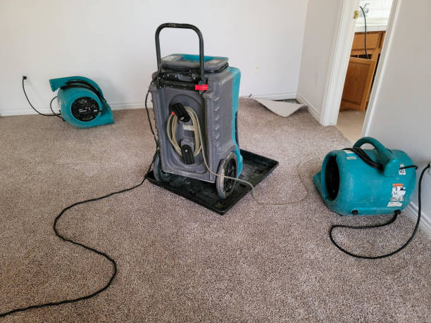 Best Residential water damage restoration  in Northampton, PA