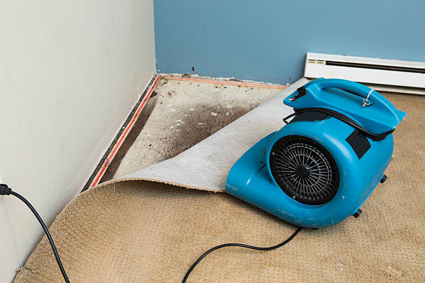 Best Commercial water damage restoration  in Northampton, PA